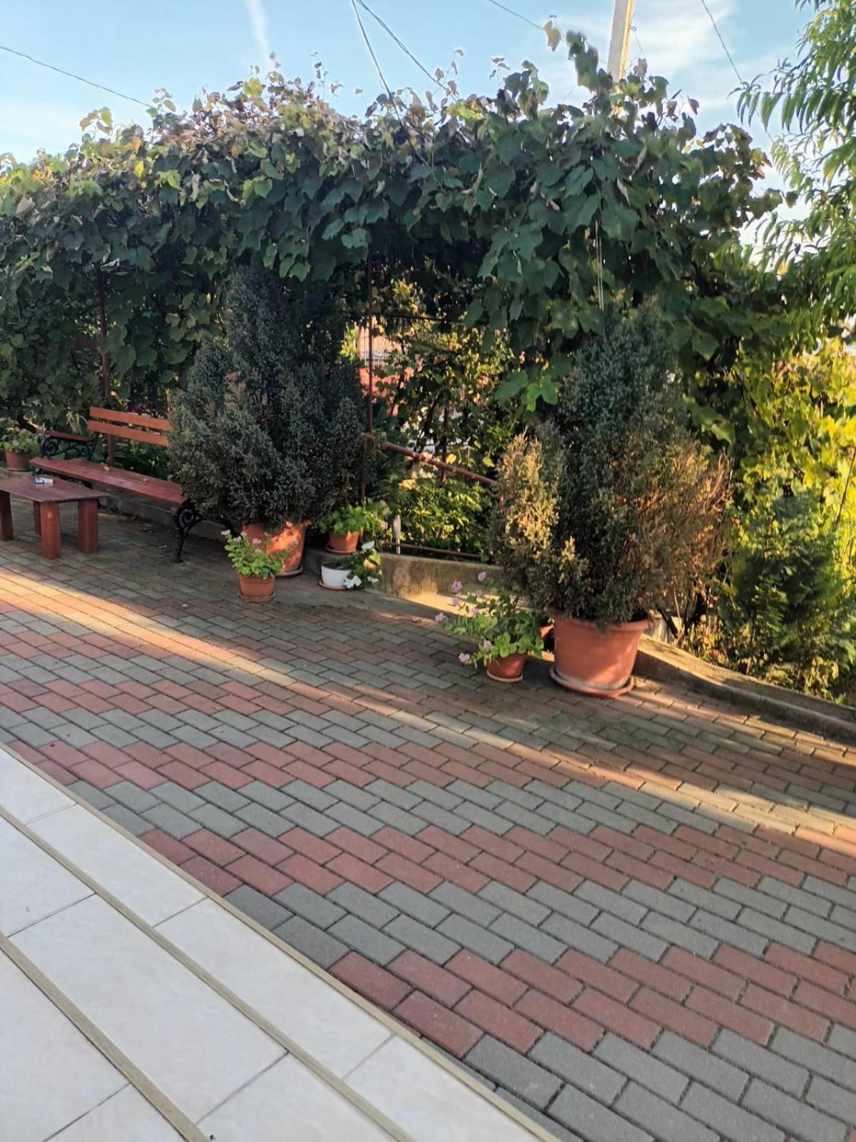 Villa Casa Matei Turda Esterno foto